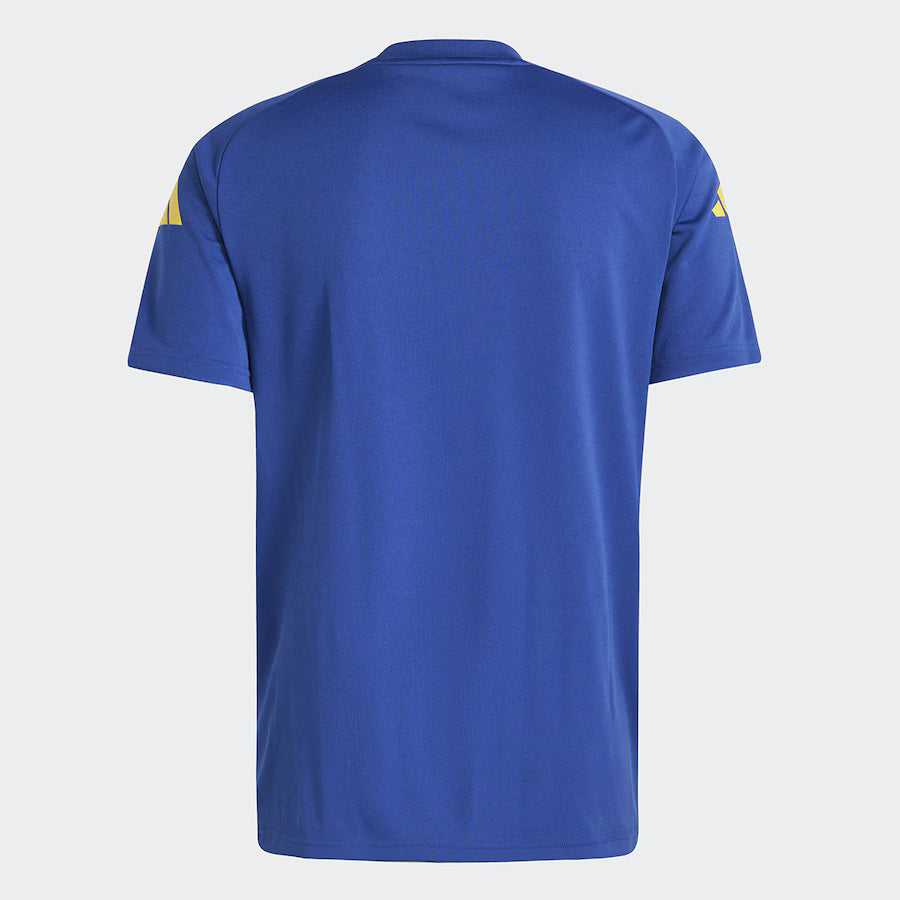 Camiseta Selección de España equipación de entrenamiento 2024