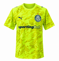 Camiseta SE Palmeiras 3º equipación portero 26-27