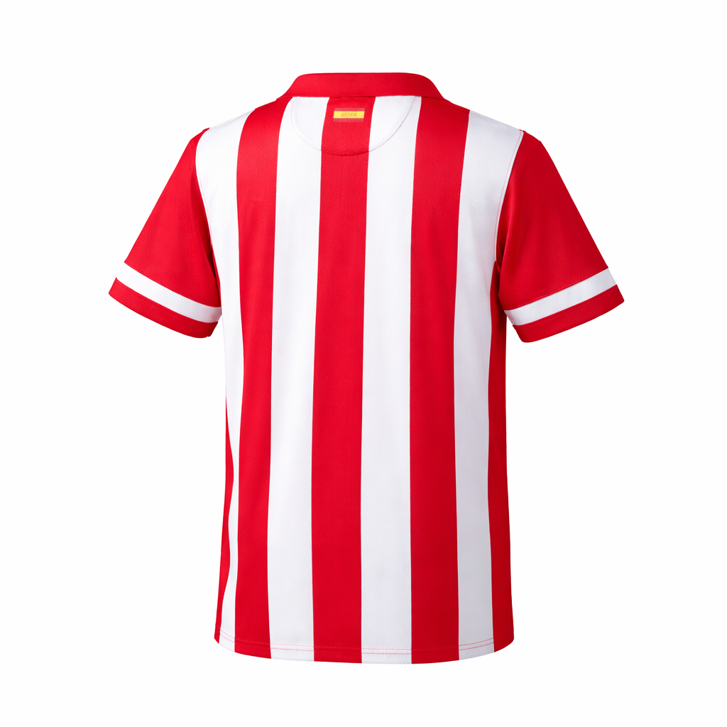 Atlético Madrid 1st kit 2013-14
