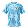 Camiseta SE Palmeiras 2º equipación pre-partido 26-27