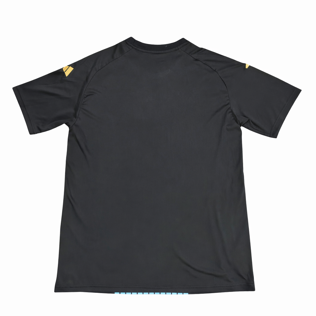 Camiseta Selección de Alemania equipación pre-partido 2024