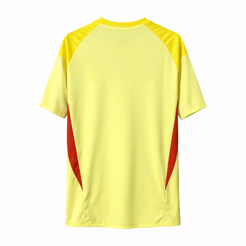 Camiseta Arsenal FC equipación de portero 25-26