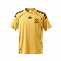 Maillot de l'équipe nationale d'Espagne extérieur 2008