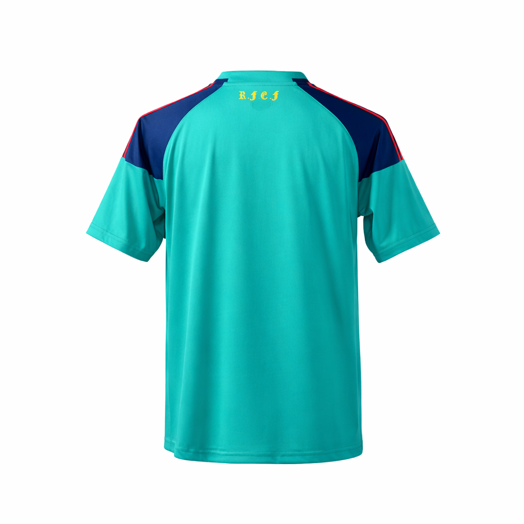 Maillot de gardien de but Équipe d'Espagne Domicile 2010