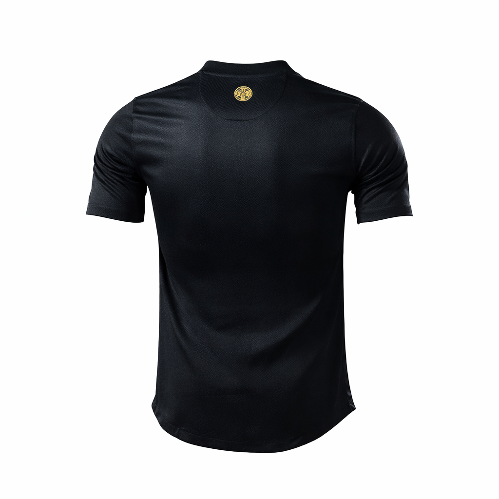 Camiseta Selección de Portugal 3º equipación 2012